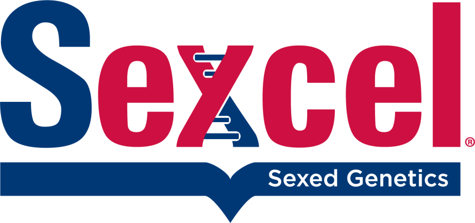 Sexcel logo