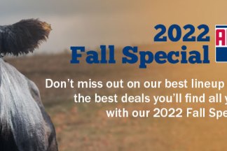 Fall Special 2022